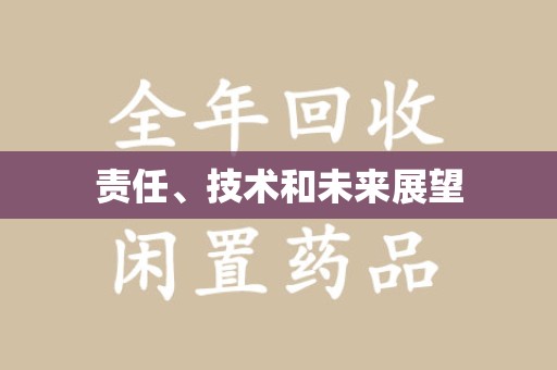 淮安责任、技术和未来展望