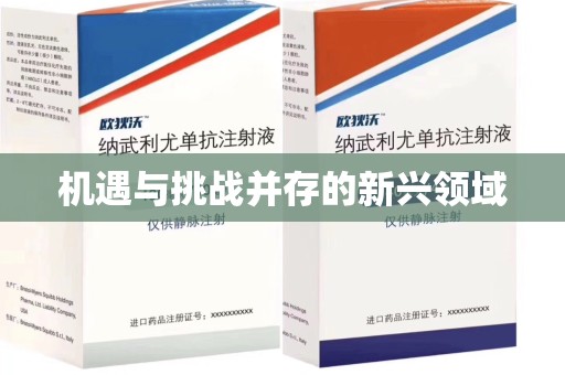 淮安机遇与挑战并存的新兴领域