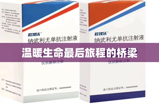 淮安温暖生命最后旅程的桥梁