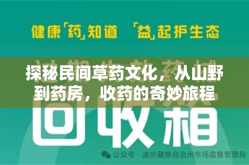 淮安探秘民间草药文化，从山野到药房，收药的奇妙旅程