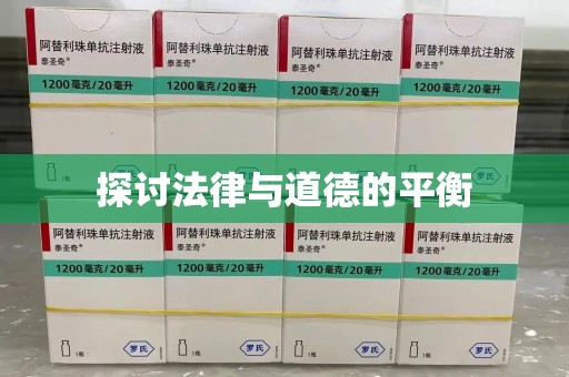 淮安探讨法律与道德的平衡