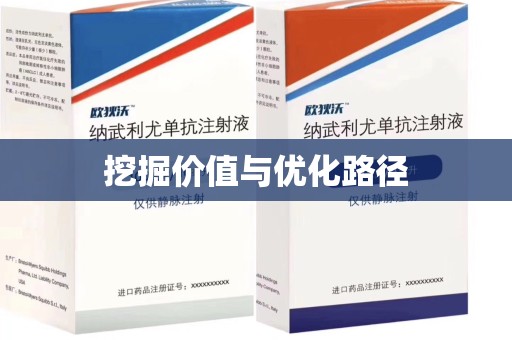 淮安挖掘价值与优化路径